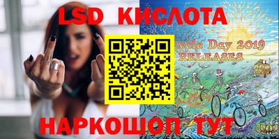 прущие грибы Можга